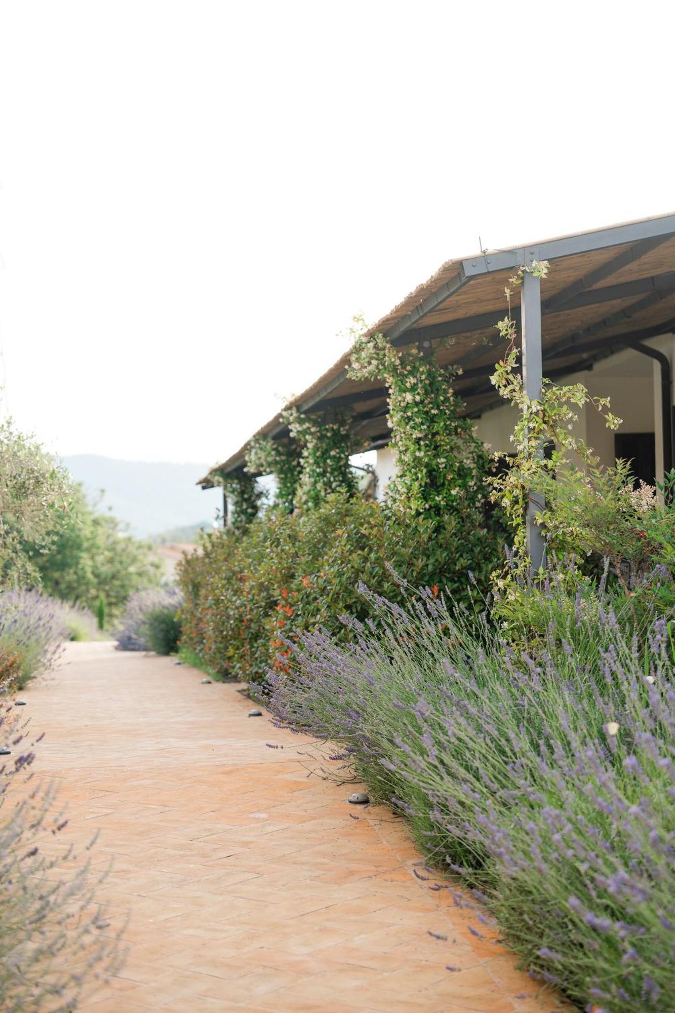 Hortus Natural Living Todi Buitenkant foto